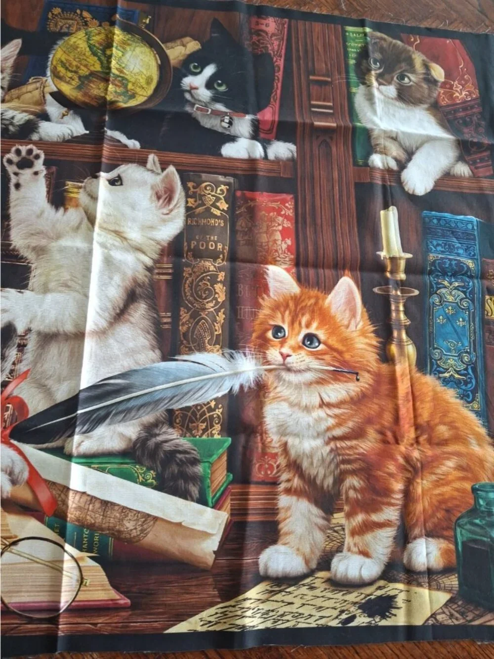 Cat Library Fabric 24